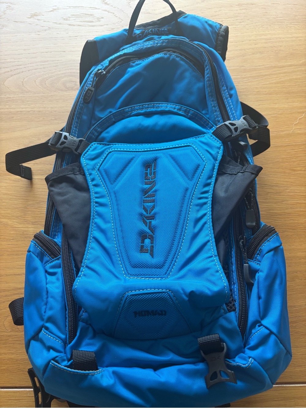 Dakine Blue and Black Daypack Interior